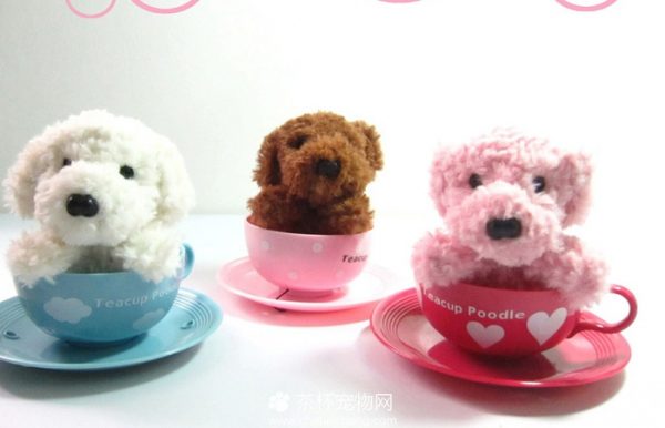 购买茶杯犬