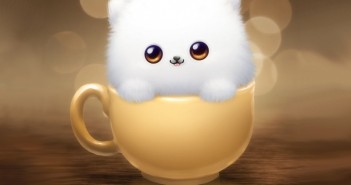 茶杯犬