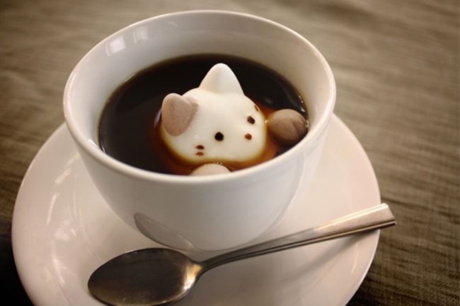 茶杯猫