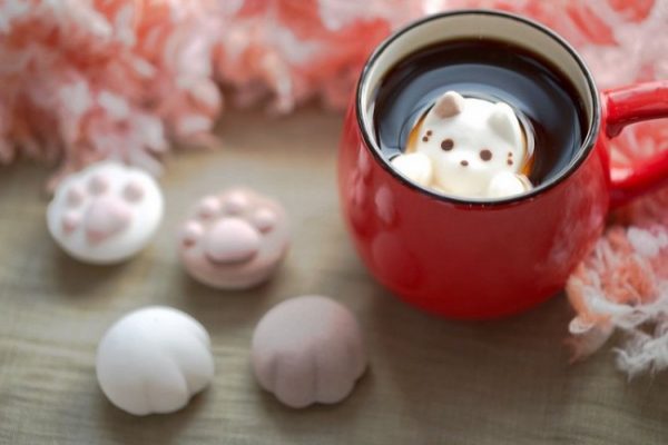 茶杯猫（二）